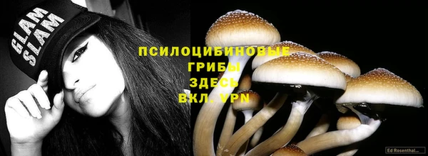 ALPHA PVP Богородицк