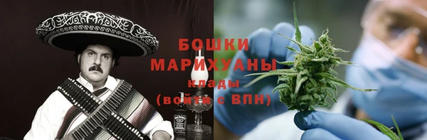 мдпв Богданович