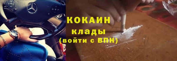 мдпв Богданович