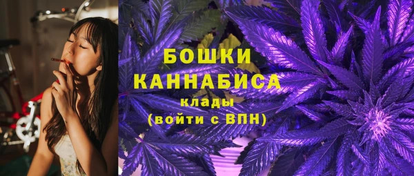 ALPHA PVP Богородицк