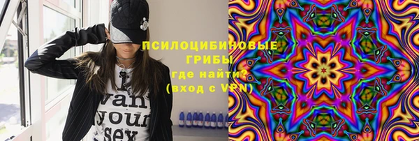 ALPHA PVP Богородицк