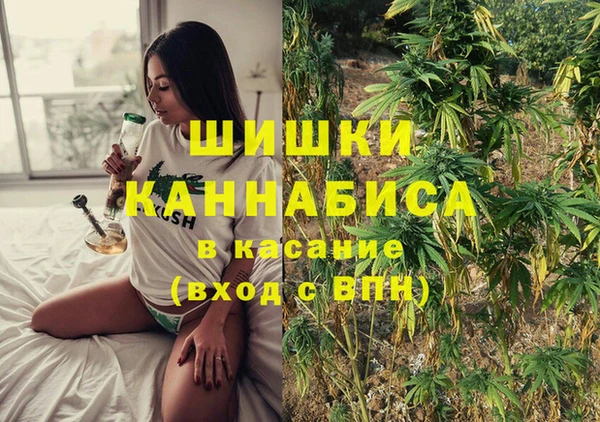 мдпв Богданович
