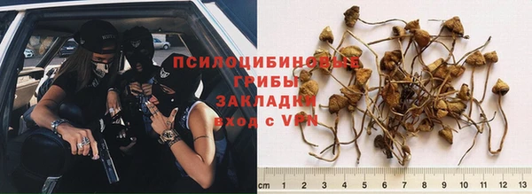 ALPHA PVP Богородицк