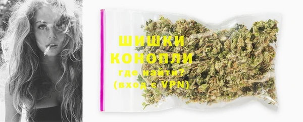 мдпв Богданович